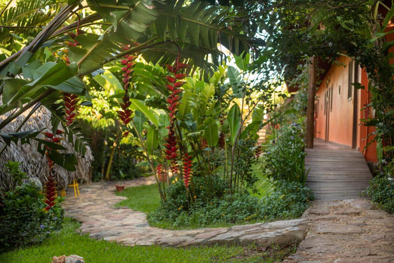 Buddy'S Hostel & Pousada Alto Paraiso Alto Paraíso de Goiás Eksteriør bilde